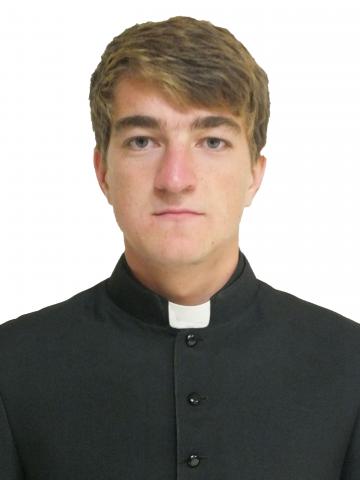 Pr. Laurențiu Turbuc - Arini
